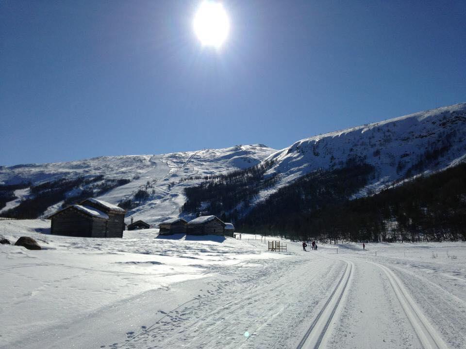 Lemonsjoen-Jotunheimen-Besseggen Stuttgongfossen Exterior foto